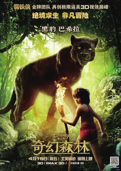 制作假的西藏不动产登记证明